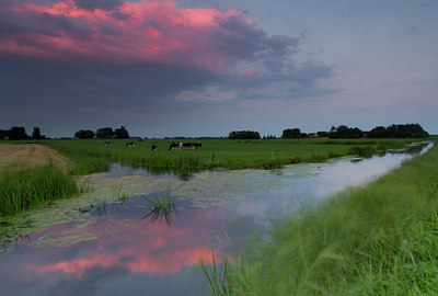 BUITEN BEELD Foto: 108012