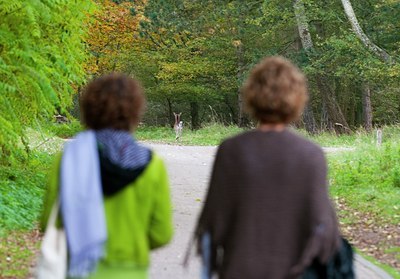BUITEN BEELD Foto: 108023