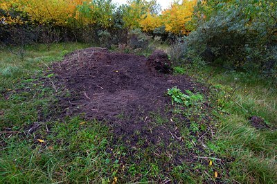 BUITEN BEELD Foto: 108027