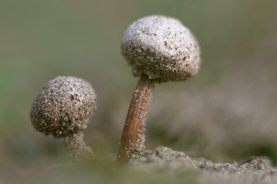 BUITEN BEELD Foto: 108086