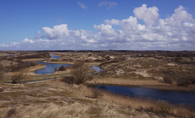 BUITEN BEELD Foto: 108087