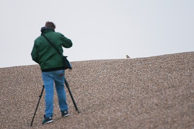 BUITEN BEELD Foto: 108102