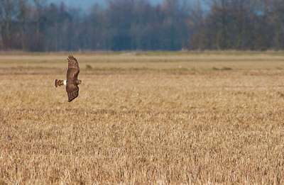 BUITEN BEELD Foto: 108122