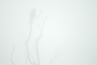 BUITEN BEELD Foto: 108125