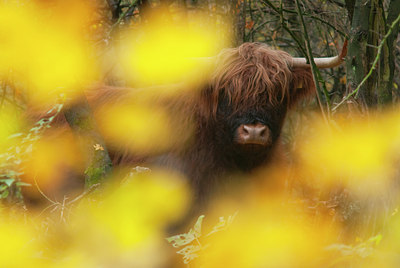 BUITEN BEELD Foto: 108134