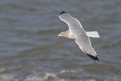 BUITEN BEELD Foto: 108135