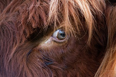 BUITEN BEELD Foto: 108141