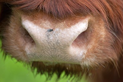 BUITEN BEELD Foto: 108152