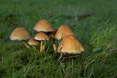 BUITEN BEELD Foto: 108199