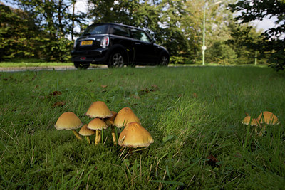 BUITEN BEELD Foto: 108200