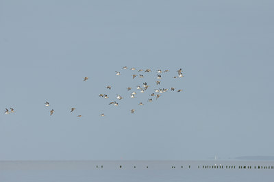 BUITEN BEELD Foto: 108242