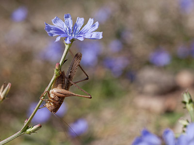 BUITEN BEELD Foto: 108296