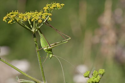 BUITEN BEELD Foto: 108299