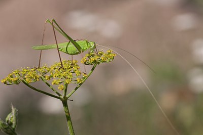 BUITEN BEELD Foto: 108302