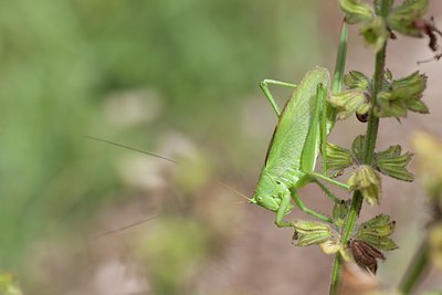 BUITEN BEELD Foto: 108310