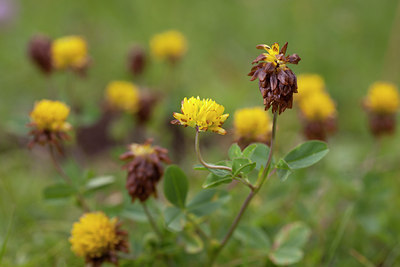 BUITEN BEELD Foto: 108328