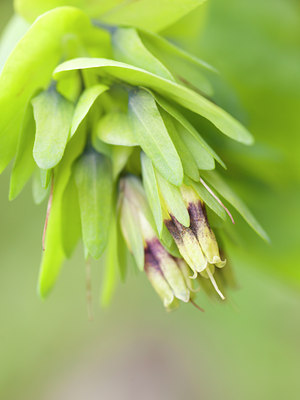 BUITEN BEELD Foto: 108335