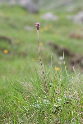 BUITEN BEELD Foto: 108350