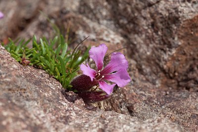 BUITEN BEELD Foto: 108355