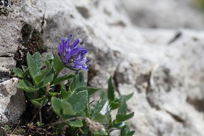BUITEN BEELD Foto: 108365