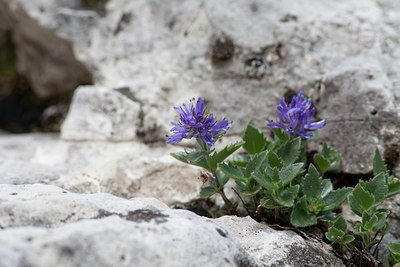 BUITEN BEELD Foto: 108367