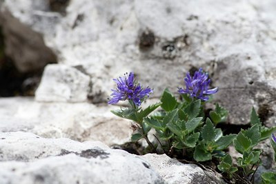 BUITEN BEELD Foto: 108368