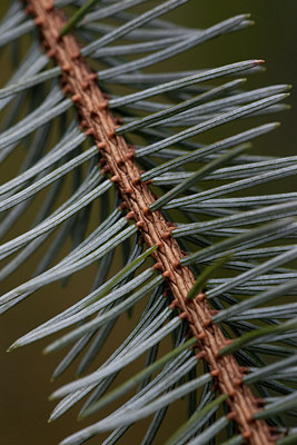 BUITEN BEELD Foto: 108386