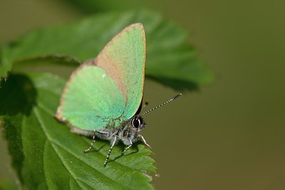 BUITEN BEELD Foto: 108406