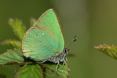 BUITEN BEELD Foto: 108412