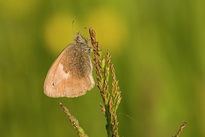 BUITEN BEELD Foto: 108415