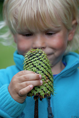 BUITEN BEELD Foto: 108421