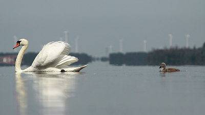 BUITEN BEELD Foto: 108449