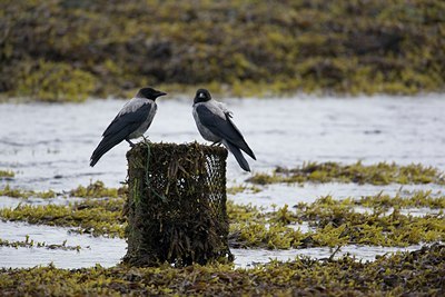 BUITEN BEELD Foto: 108553
