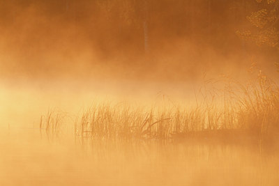 BUITEN BEELD Foto: 108617