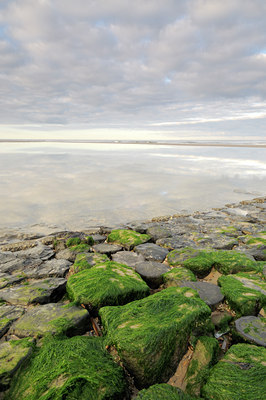 BUITEN BEELD Foto: 108651