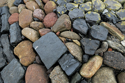 BUITEN BEELD Foto: 108652