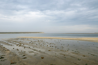 BUITEN BEELD Foto: 108653