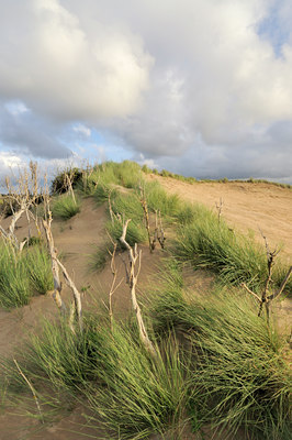 BUITEN BEELD Foto: 108662