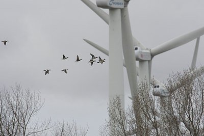 BUITEN BEELD Foto: 108674