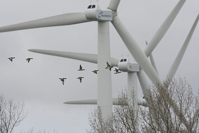 BUITEN BEELD Foto: 108676