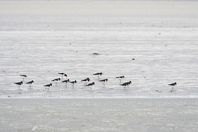 BUITEN BEELD Foto: 108687