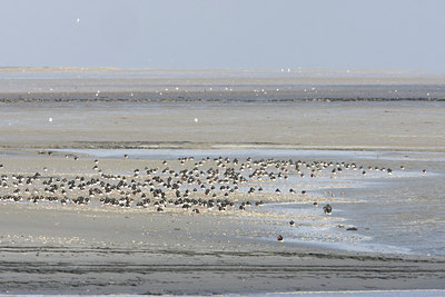 BUITEN BEELD Foto: 108690