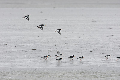 BUITEN BEELD Foto: 108691