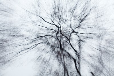 BUITEN BEELD Foto: 108729