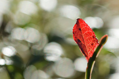 BUITEN BEELD Foto: 108789