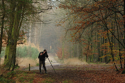 BUITEN BEELD Foto: 108809