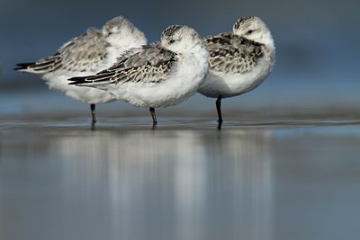 BUITEN BEELD Foto: 108832