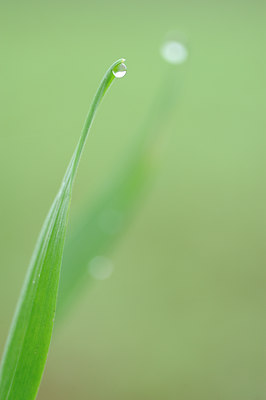 BUITEN BEELD Foto: 108833