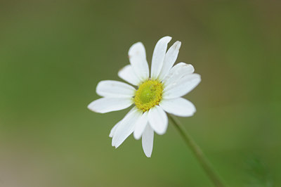 BUITEN BEELD Foto: 108834