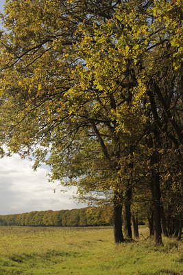 BUITEN BEELD Foto: 108837